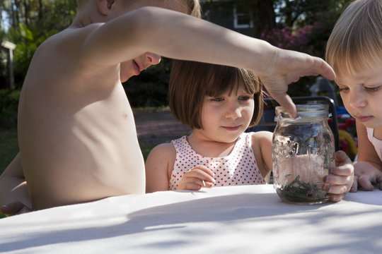 Boy and two sisters with green anole lizard and jar on garden table