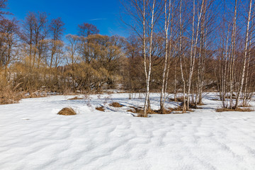 Landscape with forest field