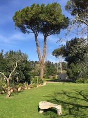 Fototapeta premium Giardino