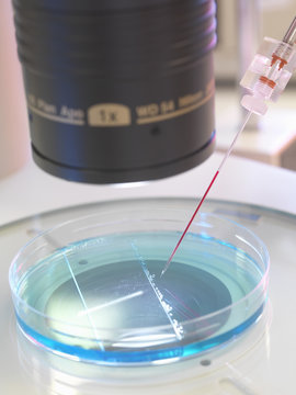 Nuclear transfer, Stem cells made from the cell nucleus