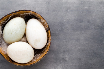  Duck eggs on a cage gray background.