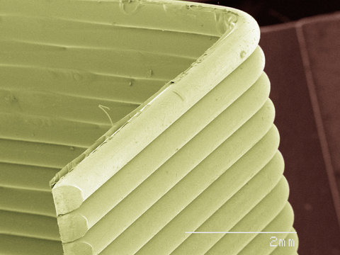 Coloured SEM of staples