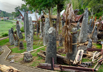 Ceremony site with megaliths. Bori Kalimbuang. Tana Toraja. Indonesia