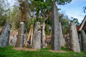 Fotobehang Ceremony site with megaliths. Bori Kalimbuang. Tana Toraja. Indonesia © Elena Odareeva
