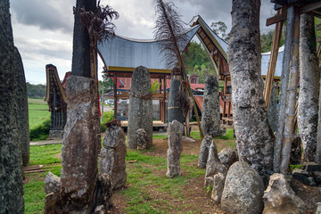 Ceremony site with megaliths. Bori Kalimbuang. Tana Toraja. Indonesia
