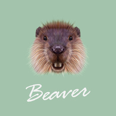 Vector Illustrated Portrait of Beaver.