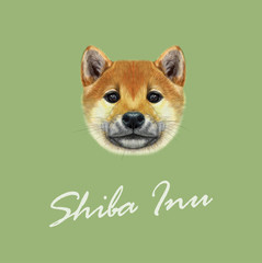 Vector Illustrated portrait of Shiba Inu Dog.