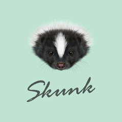Vector Illustrated Portrait of Skunk.