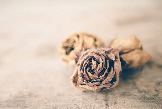 Fototapeta Wilted roses on wooden table