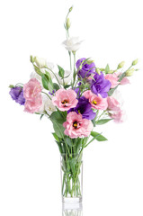 Naklejka na ściany i meble bunch of violet, white and pink eustoma flowers in glass vase is