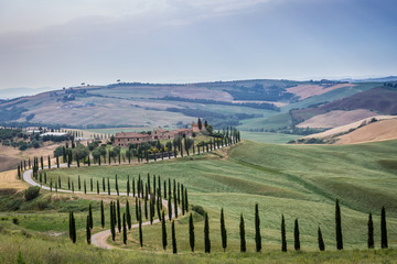 Fototapeta na wymiar Tuscany, landscape