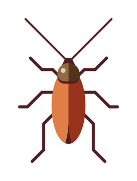 Cockroach dirty broun pest and disgusting roach crawling bug cartoon flat vector.