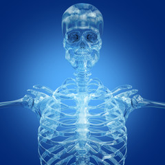 Skeleton made from glass or crystal. 3D Illustration.
