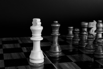 Scacchi fotografati su una scacchiera