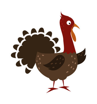Cute cartoon thanksgiving turkey vector illustration. 