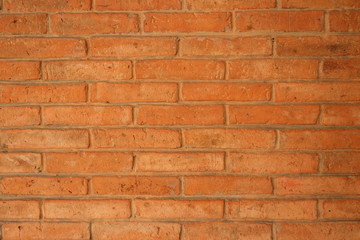 Obraz premium Brick wall background