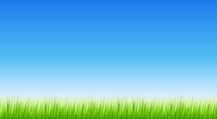 Obraz na płótnie Canvas Green grass background.