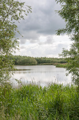 Vista between the bushes to a natural pond