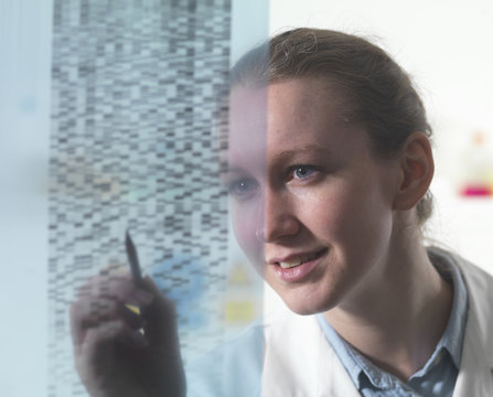 Female researcher examining DNA autoradiogram gel in laboratory