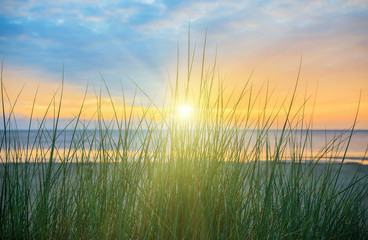 Obrazy na Szkle  Trawa wydmowa o wschodzie słońca na plaży nad Morzem Bałtyckim na wyspie Uznam
