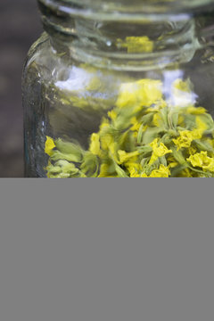 Jar containing dried cowslip. Used for tea to treat cough and rhinitis