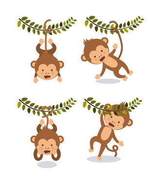 cute monkey  design 