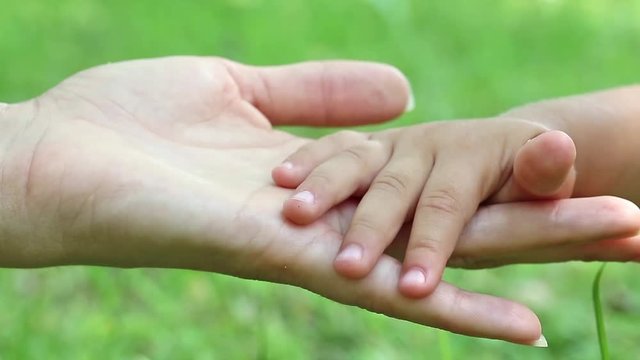 Mother and daughter hands on green background. Hand in hand. Tenderness. Concern for children