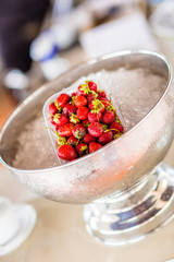 Strawberry on Ice Cubes