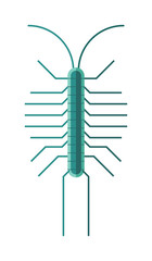 Centipede millipede cartoon posing flat insect vector.