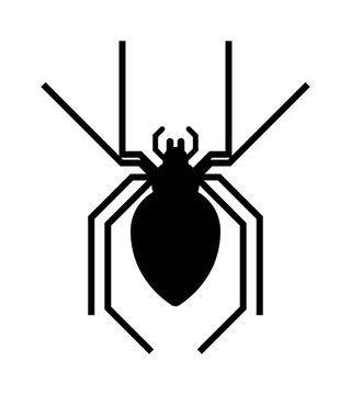 Black spider insect danger silhouette vector icon. 