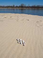 Plaża nad rzeką w słoneczny wiosenny dzień, Wisła, Rezerwat Wyspy Świderskie