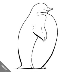 funny cartoon cute Imperial penguin illustration