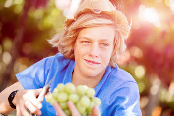 Boy in vineyard