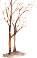 Bare trees on white, watercolor hand painted on paper - 106988003