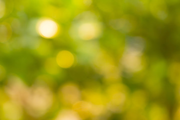 abstract bokeh nature background, defocused