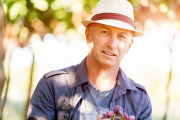 Man standing in vineyard
