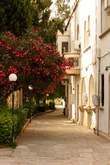 Fototapeta na wymiar old greek street