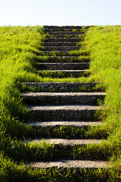 Stone stairs in grass