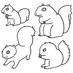 vector set of squirrel