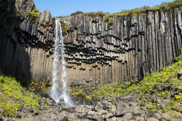 Beautiful waterfall Svartifoss in Skaftafell national park, South Iceland