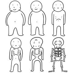 vector set of man from fat to slim