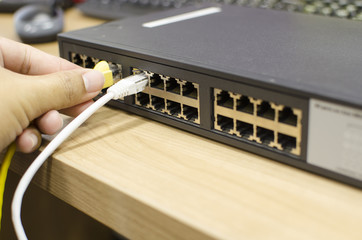 Man hand connect LAN cable to Switch internet, Selective Focus