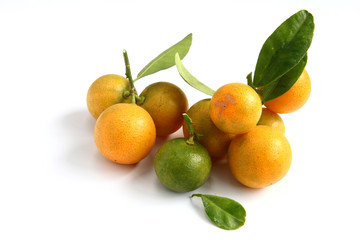 Kumquat on white background