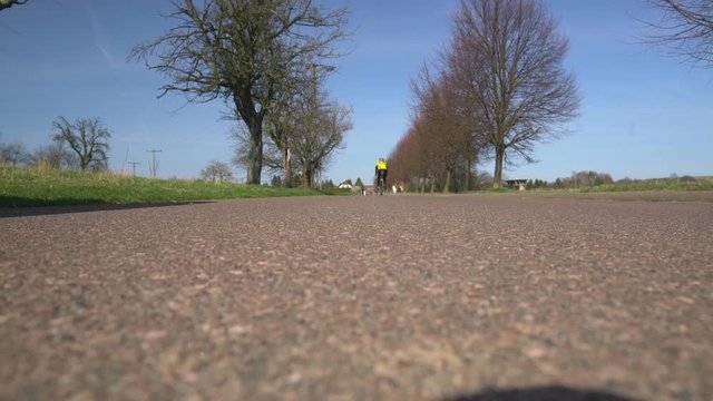 Rennradfahrer im Fr&uuml;hling