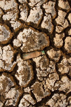 Drought. Empty water bottle