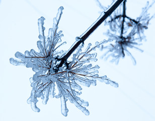 Ice winter