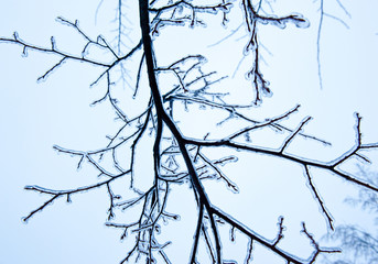 Ice winter
