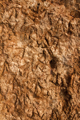 Soil erosion. Cracks.