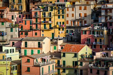 Fototapeta na wymiar Manarola houses (Cinque Terre Italy)