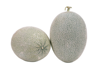 Melon fruit